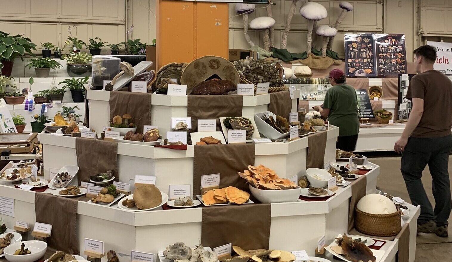 Finance. Pennies in a jar to grow a plant for the future.