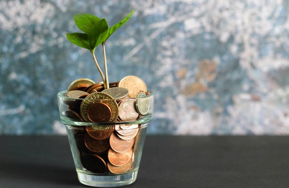Finance. Pennies in a jar to grow a plant for the future.